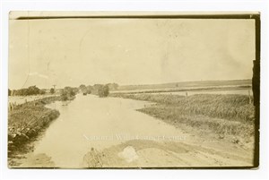 Image description is not available for PHO-264-625